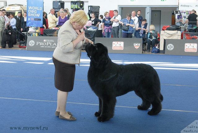 Фотография № 98162