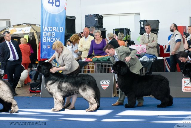 Фотография № 98178