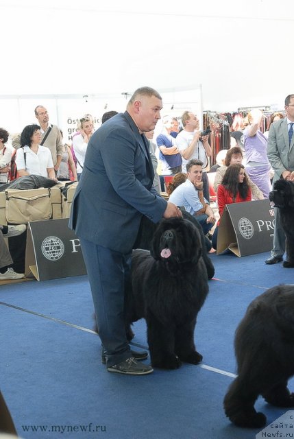 Фотография № 98181