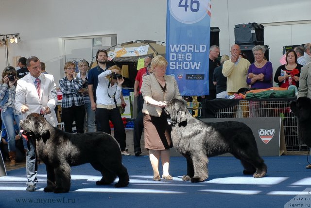 Фотография № 98182