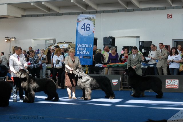 Фотография № 98184