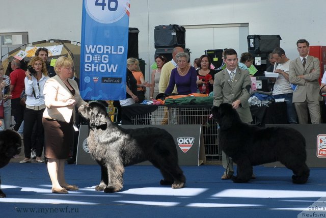 Фотография № 98185