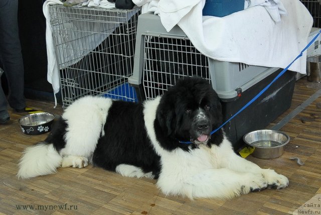 Фотография № 98189