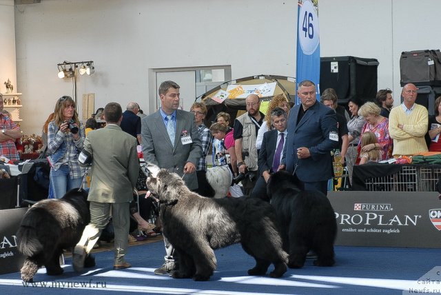 Фотография № 98193