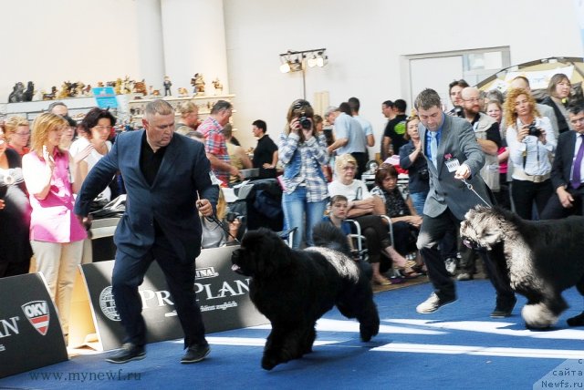 Фотография № 98194