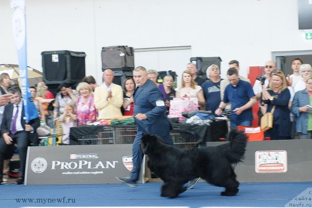 Фотография № 98196