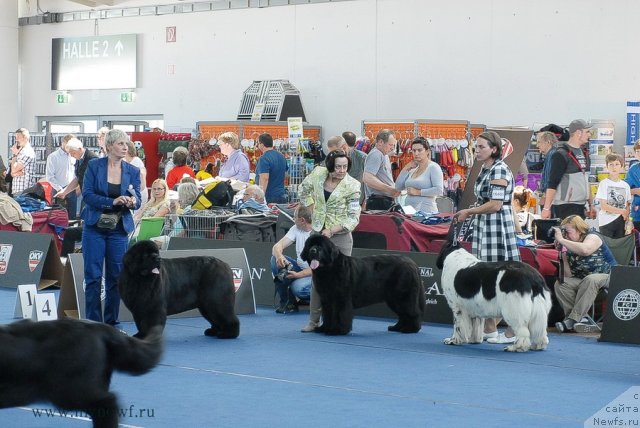 Фотография № 98200