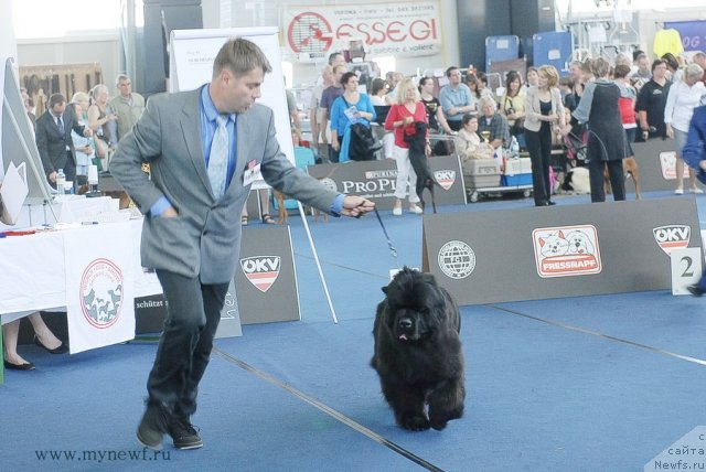 Фотография № 98211