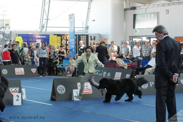 Фотография № 98212