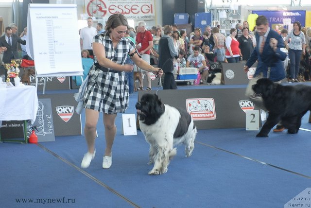 Фотография № 98213