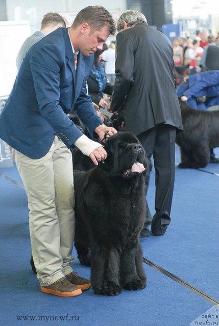 Фотография № 98219