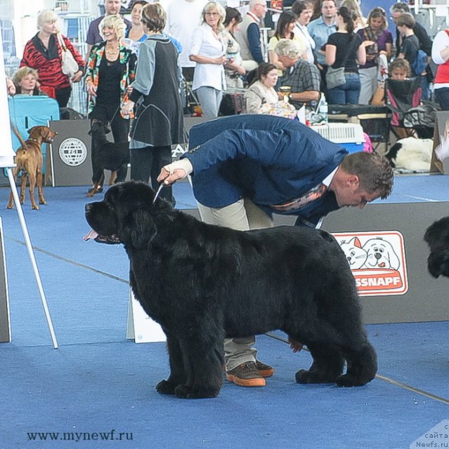 Фотография № 98224