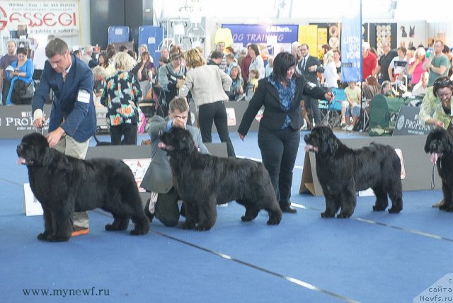 Фотография № 98226