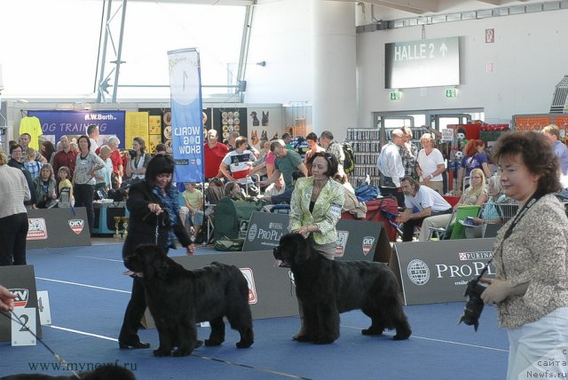 Фотография № 98228