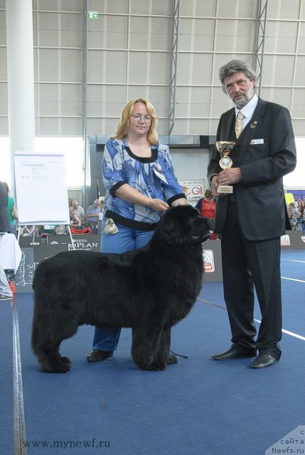 Фотография № 98229