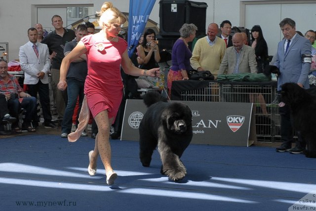 Фотография № 98233