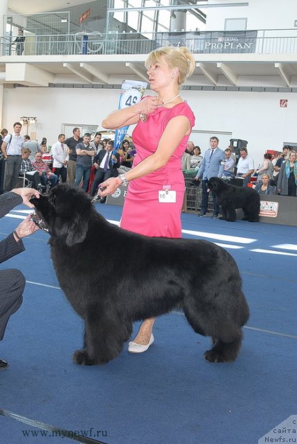 Фотография № 98235