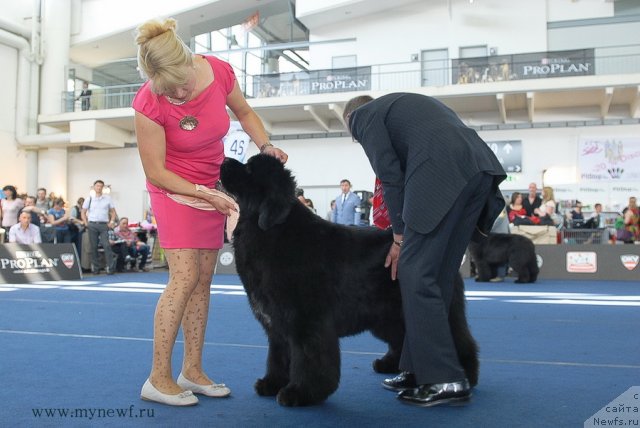 Фотография № 98236