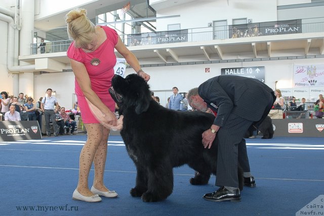 Фотография № 98237