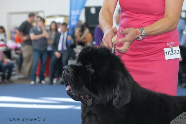 Фотография № 98238