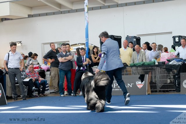 Фотография № 98239