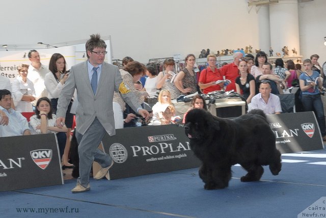 Фотография № 98241