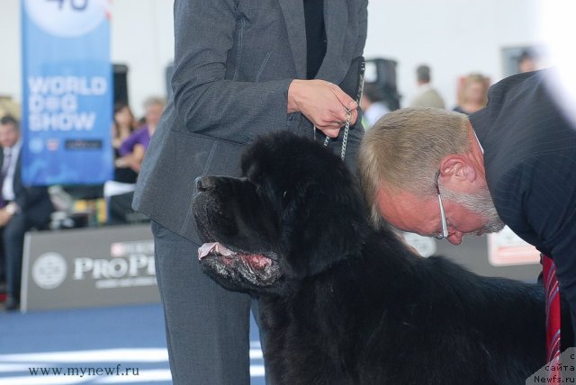 Фотография № 98243