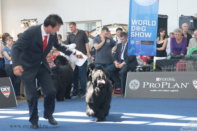 Фотография № 98244