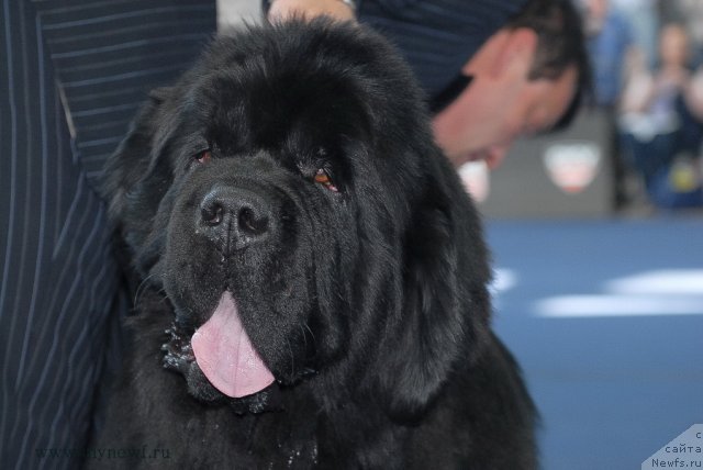 Фотография № 98246