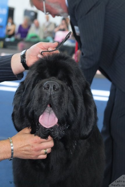 Фотография № 98249