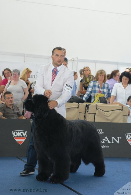 Фотография № 98250