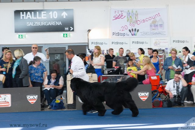 Фотография № 98251