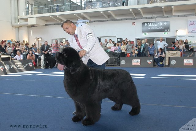 Фотография № 98252