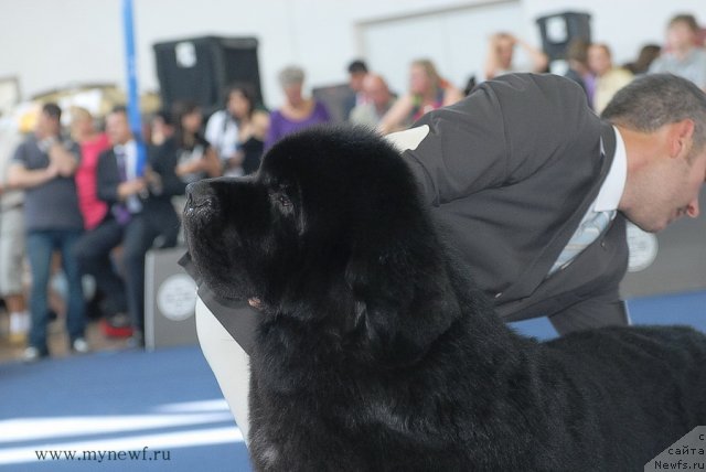 Фотография № 98254