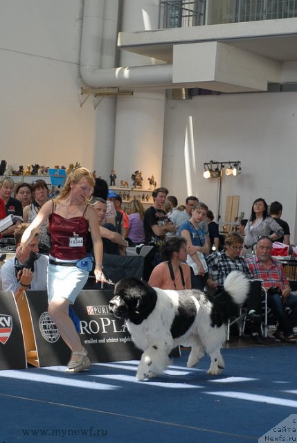 Фотография № 98258