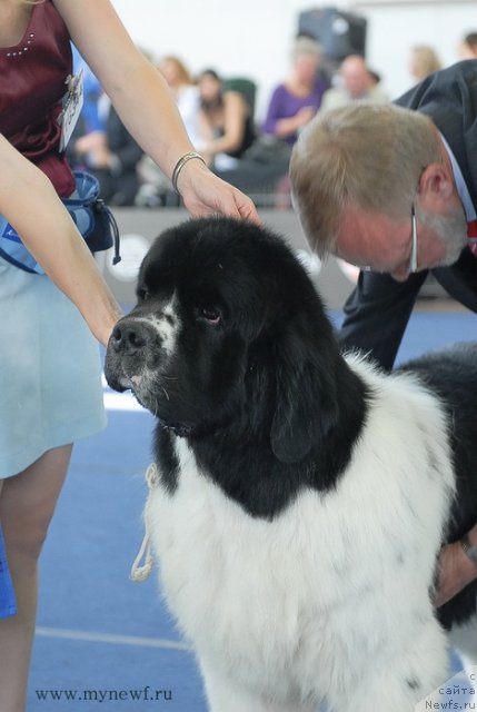 Фотография № 98263