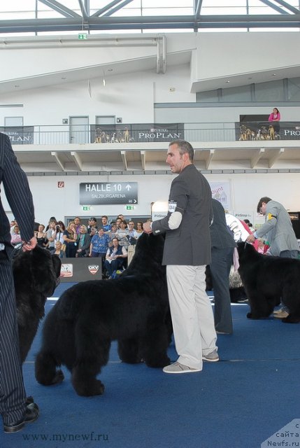 Фотография № 98266