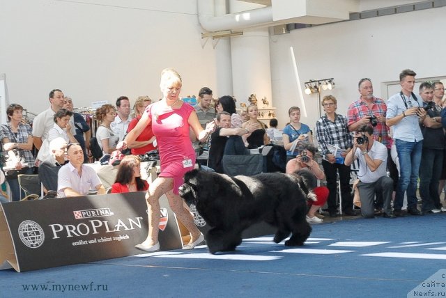 Фотография № 98271