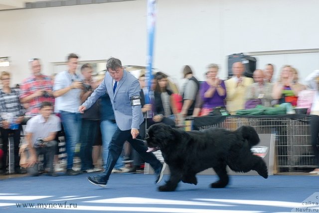 Фотография № 98272