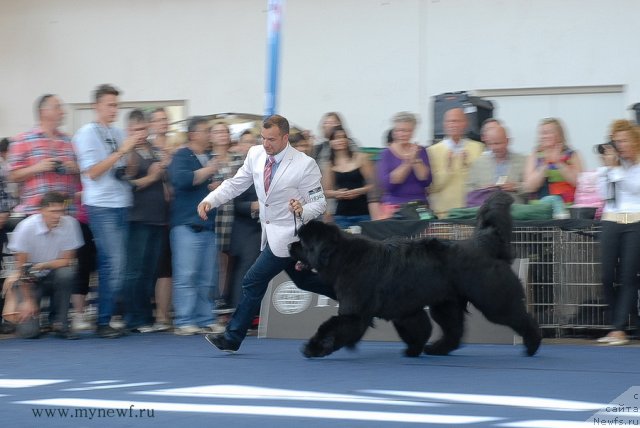 Фотография № 98274