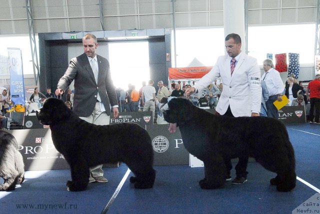 Фотография № 98276