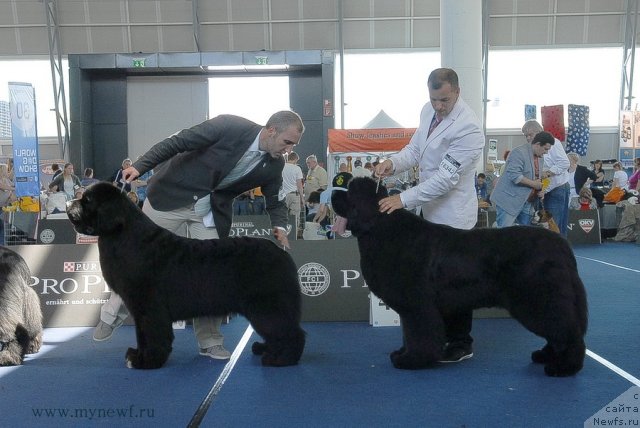 Фотография № 98278