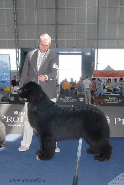 Фотография № 98279