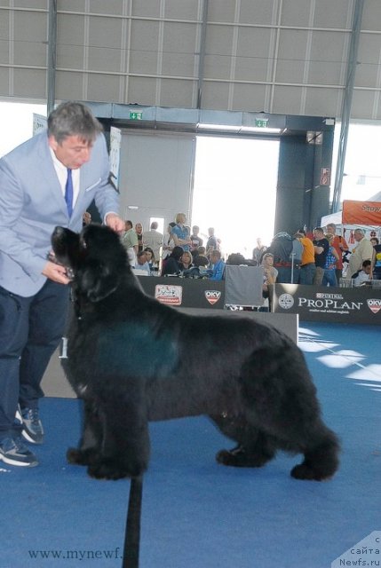 Фотография № 98284