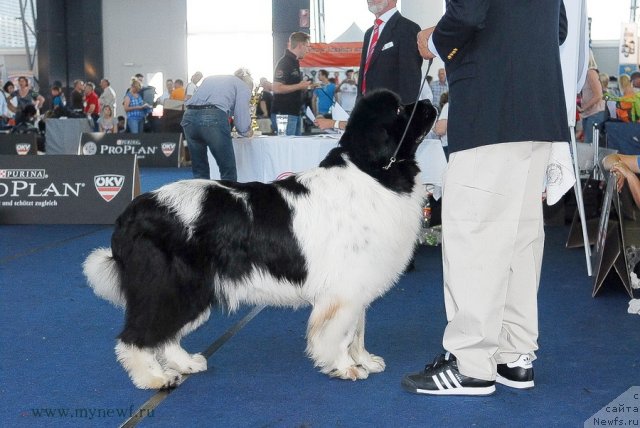 Фотография № 98288