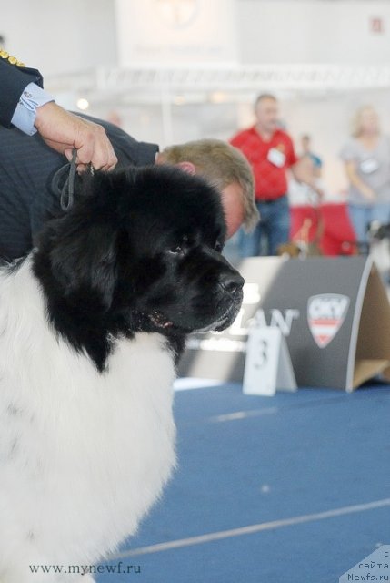 Фотография № 98290