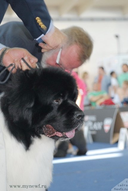 Фотография № 98291