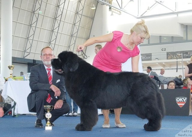 Фотография № 98295