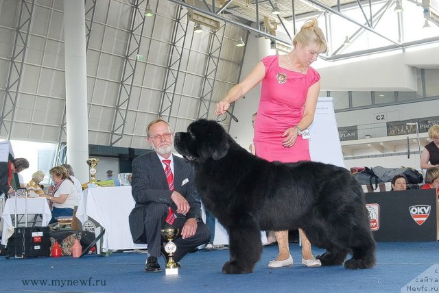 Фотография № 98296