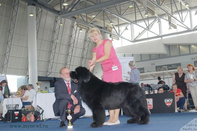 Фотография № 98297